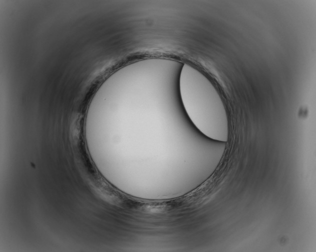 X0000102250495200807250904