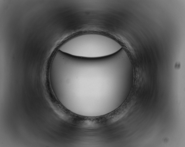 X0000102250496200807250904