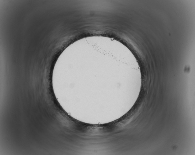 X0000102250497200807250904