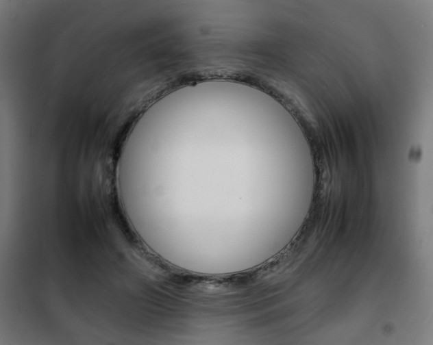 X0000102250498200807250904