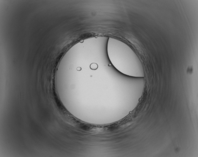 X0000102250499200807250904