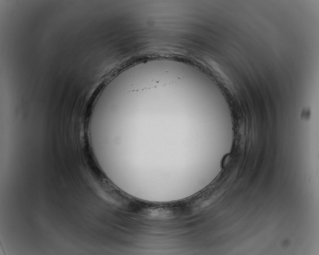 X0000102250500200807250904