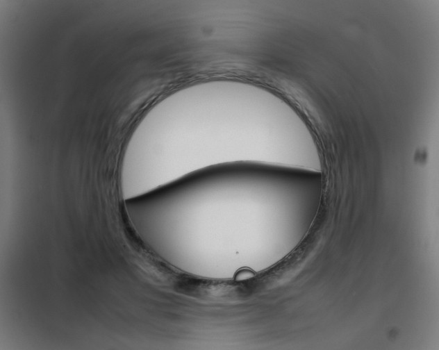X0000102250501200807250904