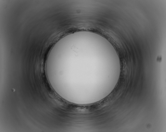 X0000102250502200807250904
