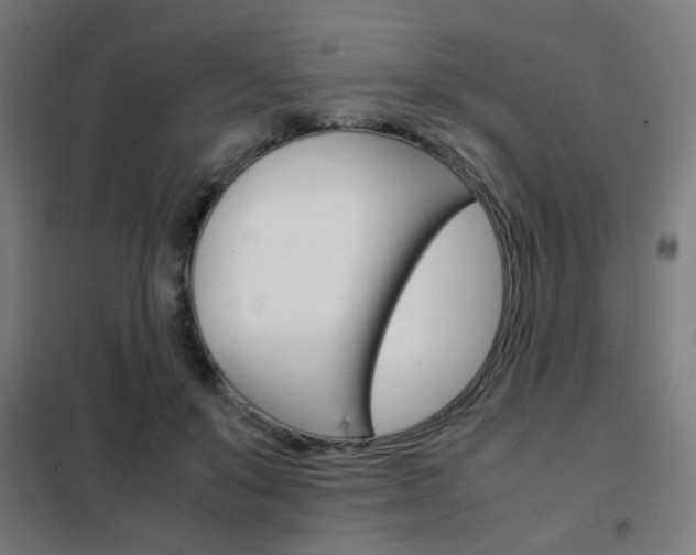 X0000102250503200807250904