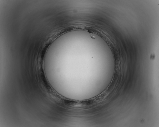 X0000102250504200807250904