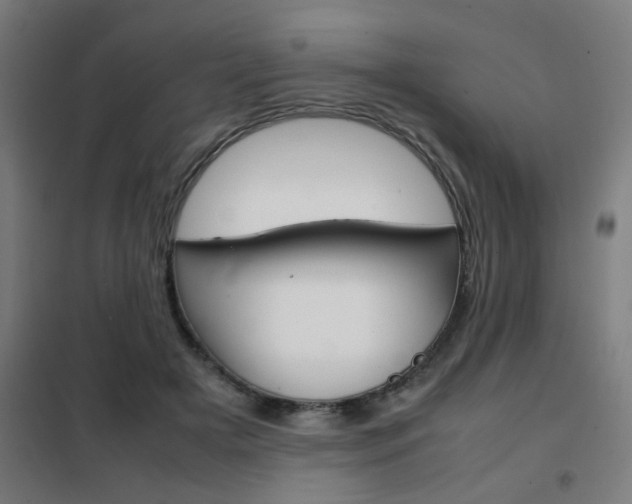 X0000102250505200807250904