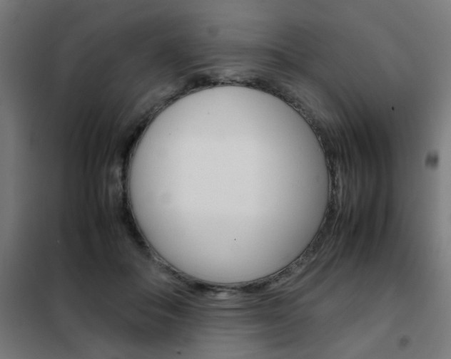 X0000102250506200807250904