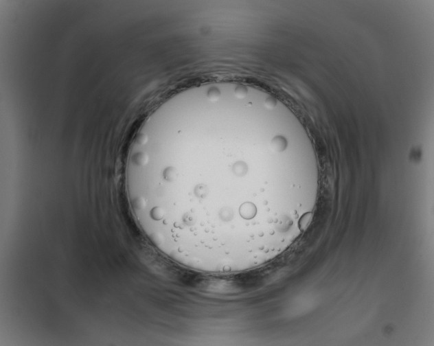 X0000102250507200807250904