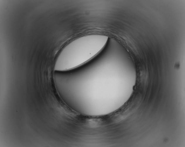 X0000102250508200807250904
