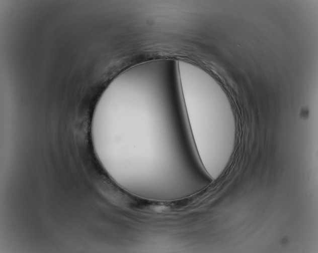 X0000102250509200807250904