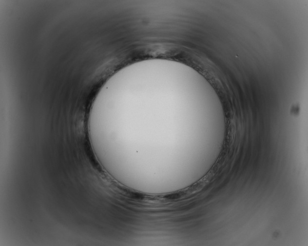 X0000102250510200807250904