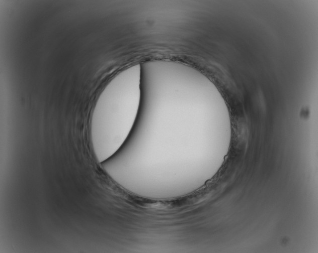 X0000102250511200807250904