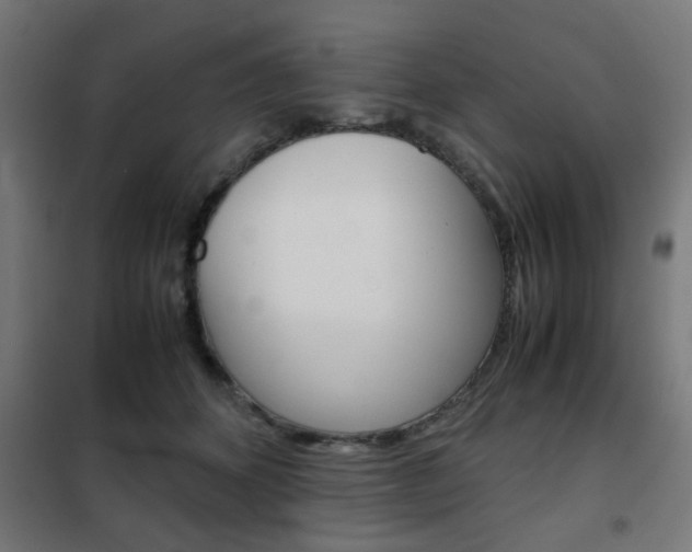 X0000102250512200807250904