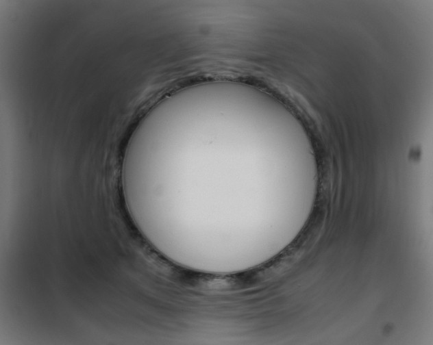 X0000102250513200807250904