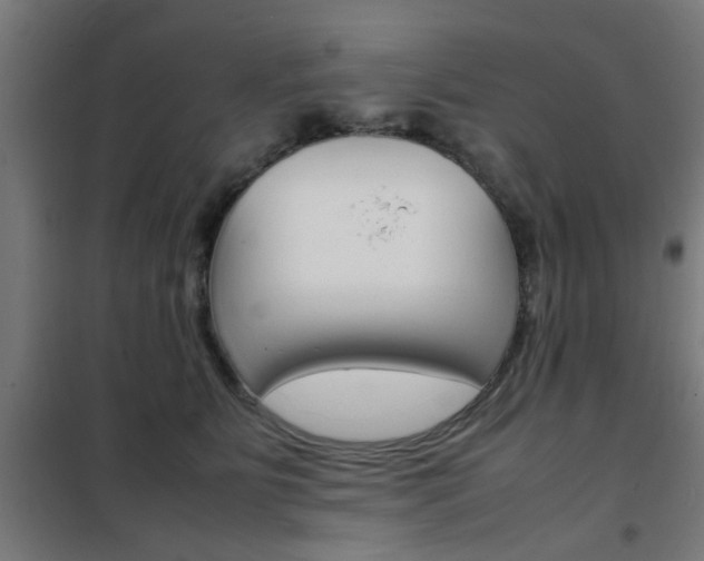 X0000102250515200807250904