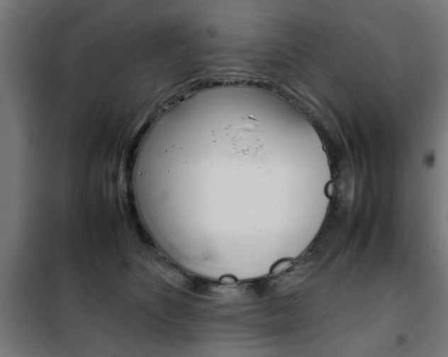 X0000102250516200807250904