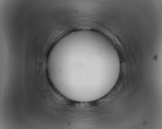 X0000102250517200807250904