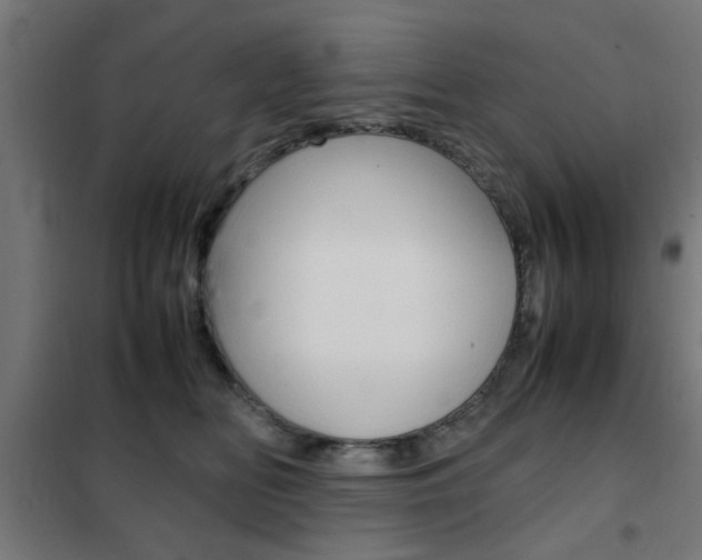 X0000102250518200807250904