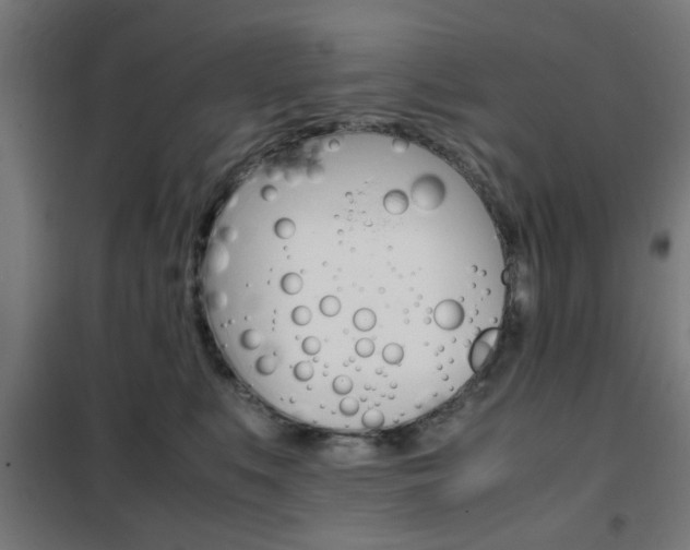X0000102250519200807250904