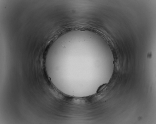 X0000102250520200807250904