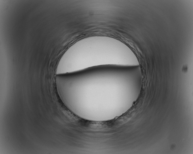 X0000102250521200807250904