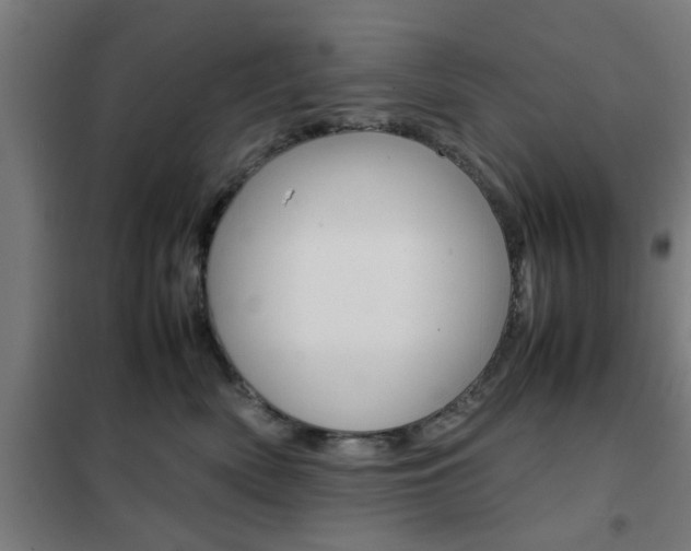 X0000102250522200807250904