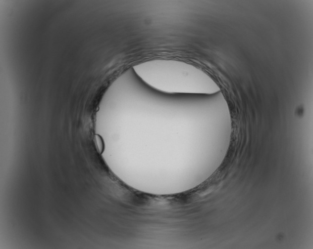 X0000102250523200807250904