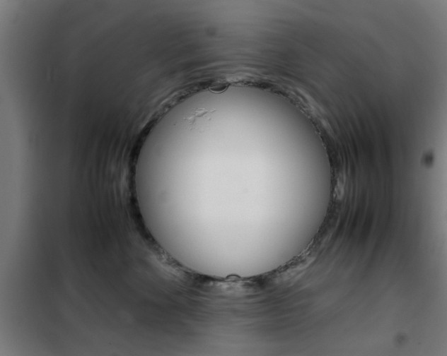 X0000102250524200807250904