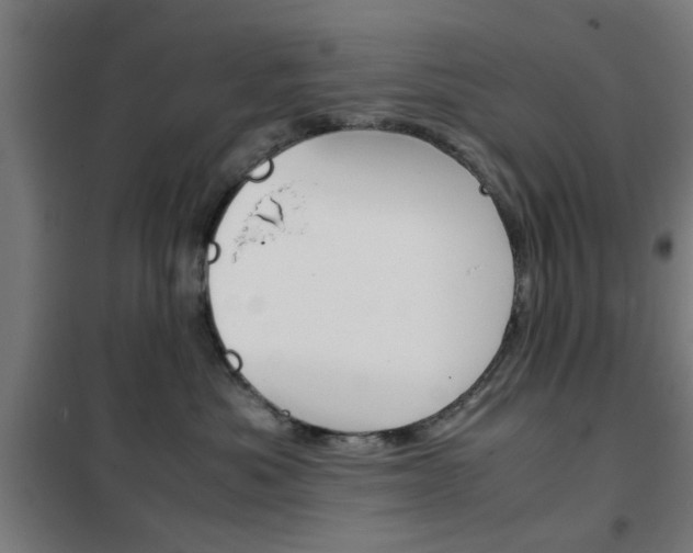 X0000102250525200807250904