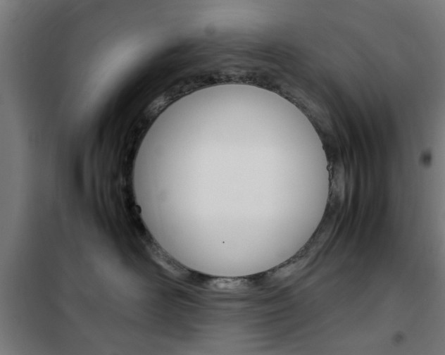 X0000102250526200807250904