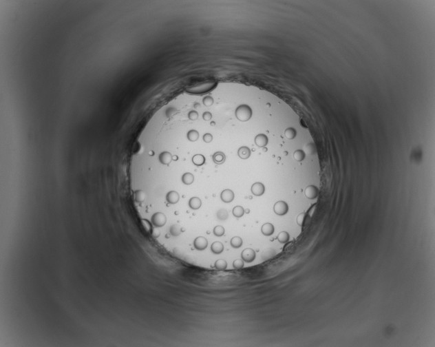 X0000102250527200807250904