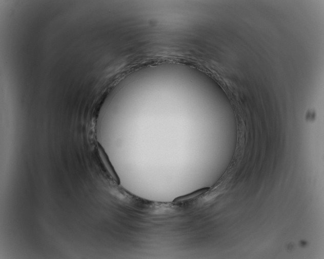 X0000102250528200807250904