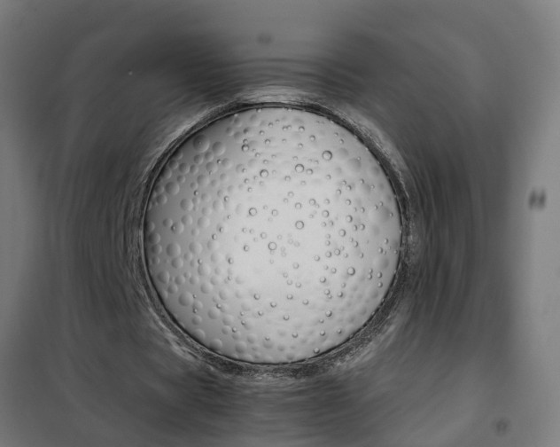 X0000102250529200807250903