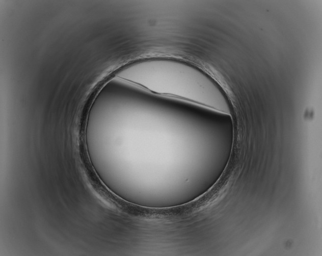 X0000102250530200807250903