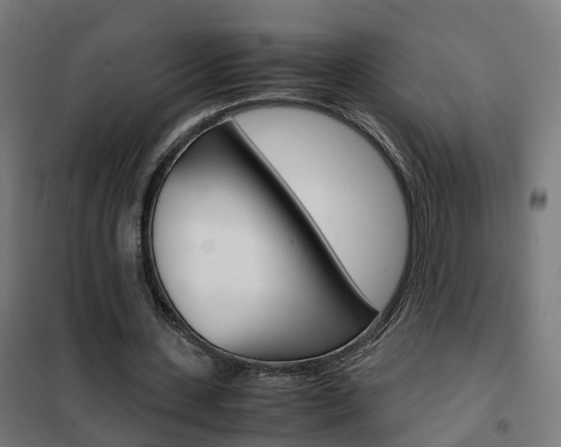 X0000102250531200807250903
