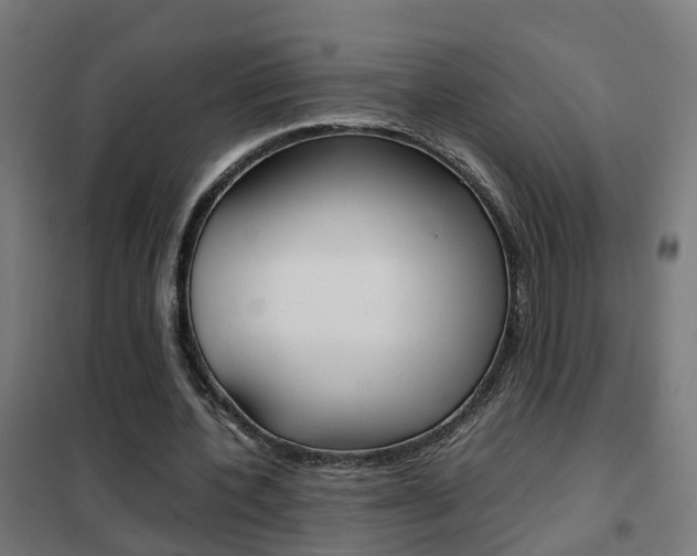 X0000102250532200807250903
