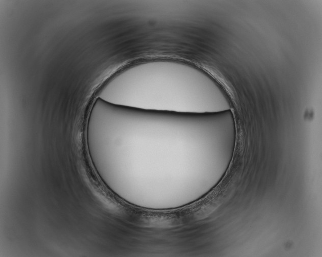 X0000102250533200807250903