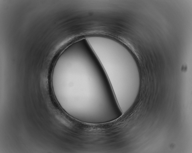 X0000102250535200807250903