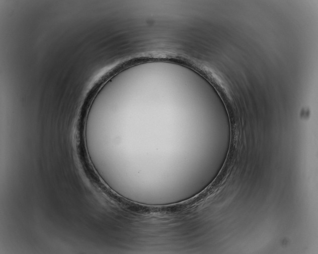 X0000102250536200807250903