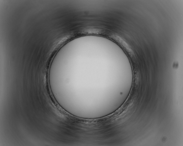 X0000102250537200807250903
