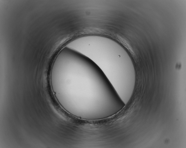 X0000102250538200807250903