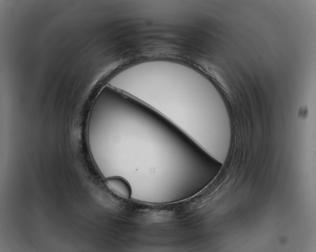 X0000102250539200807250903