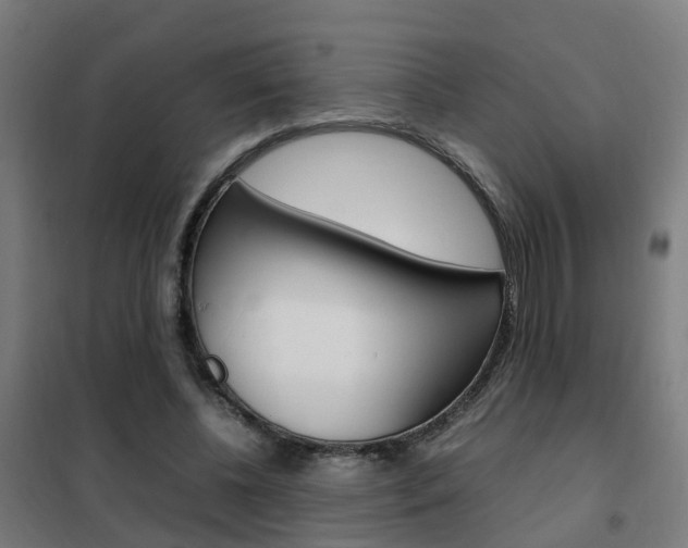 X0000102250540200807250903