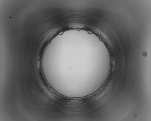 X0000102250541200807250903