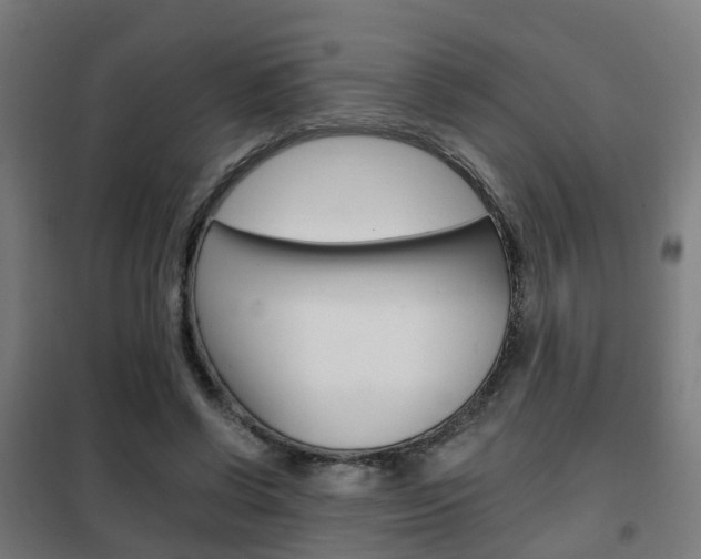 X0000102250542200807250903
