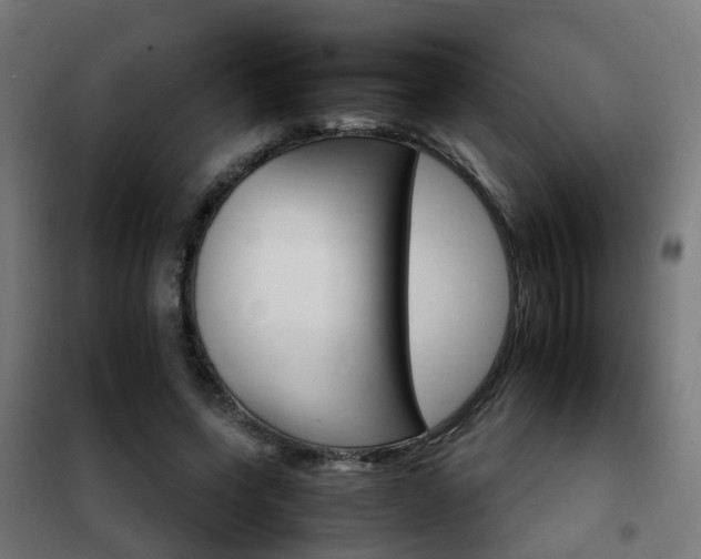 X0000102250543200807250903