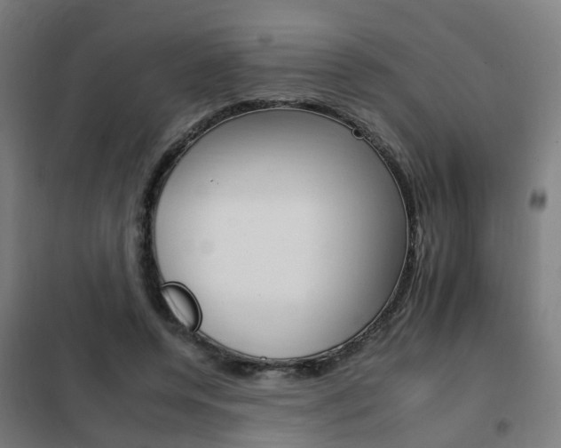 X0000102250544200807250903