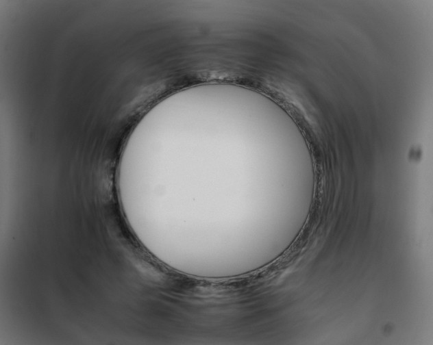 X0000102250545200807250903