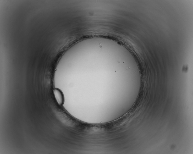 X0000102250546200807250903